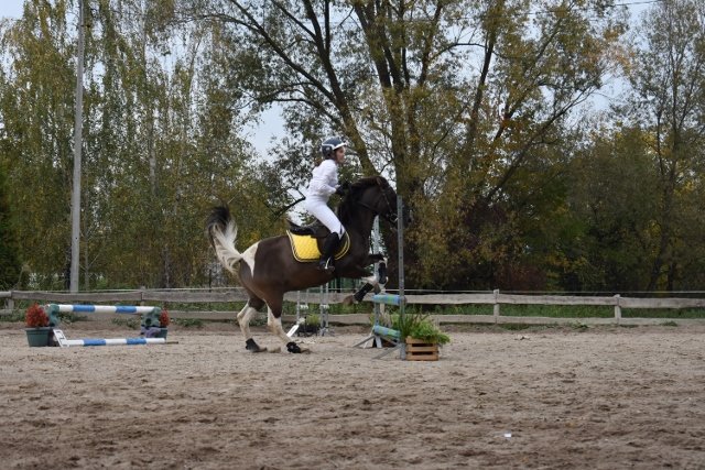 bABIE lATO 2018